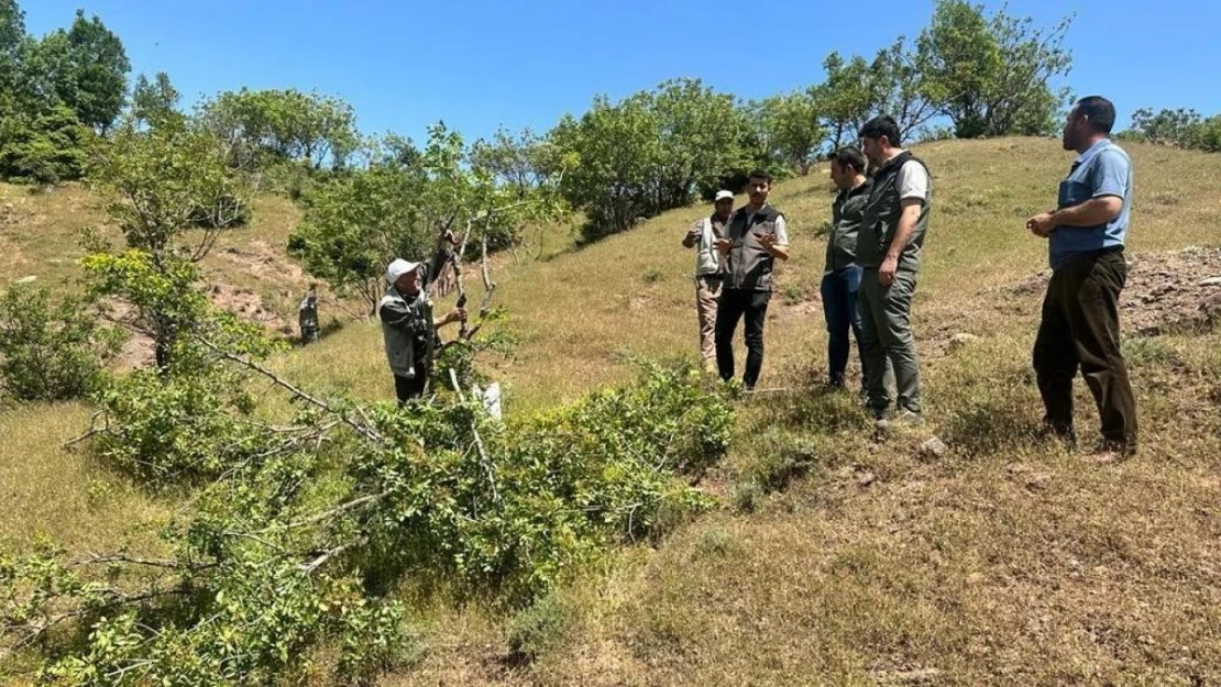 Bingöl'de aşılama çalışması yapıldı