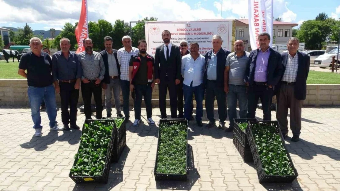 Bingöl'de çiftçiye 390 bin fide dağıtıldı