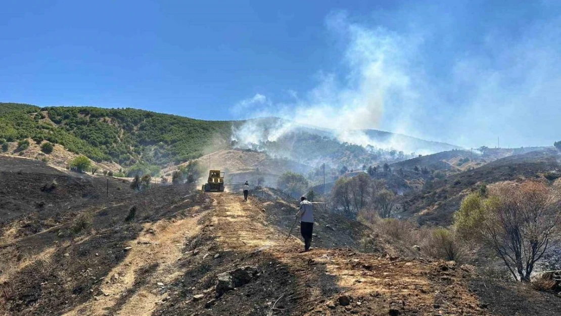 Bingöl'de çıkan orman yangını kontrol altına alındı