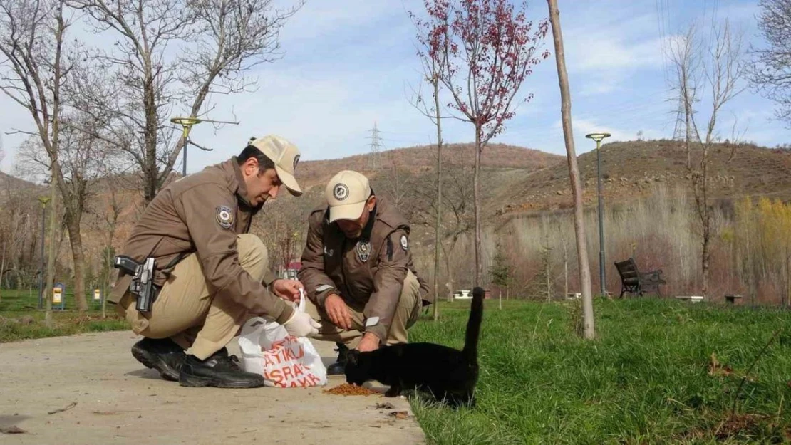 Bingöl'de HAYDİ ekipleri can dostları unutmuyor