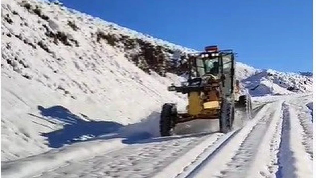 Bingöl'de kar 112 köy yolunu ulaşıma kapattı