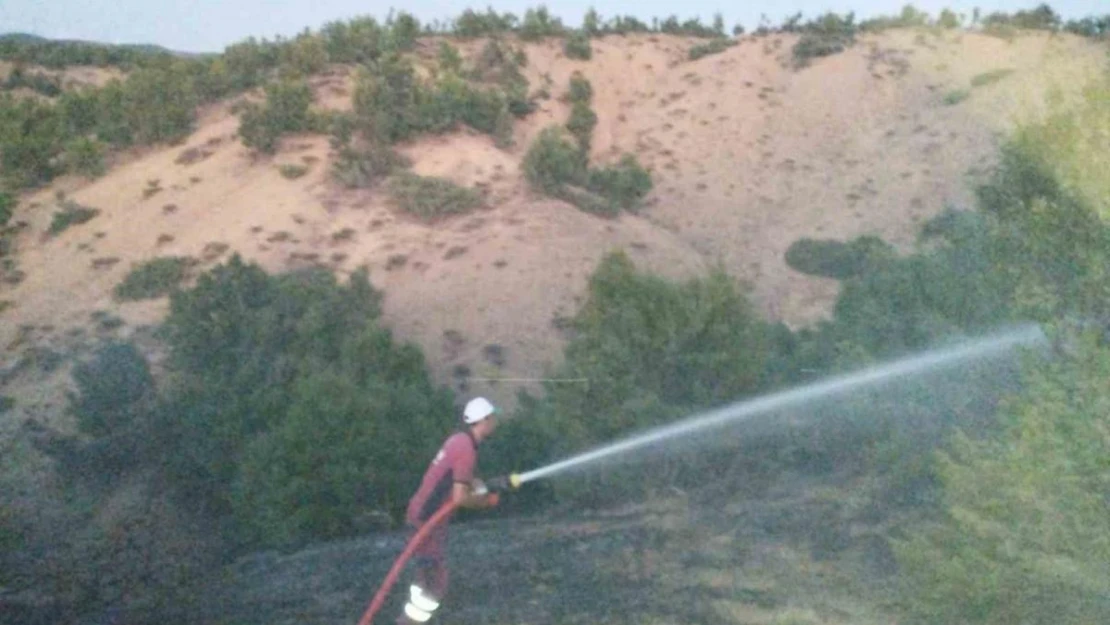 Bingöl'de orman yangını büyümeden söndürüldü