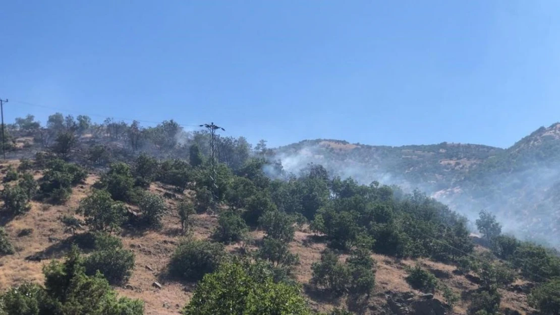 Bingöl'de ormanlık alanda korkutan yangın