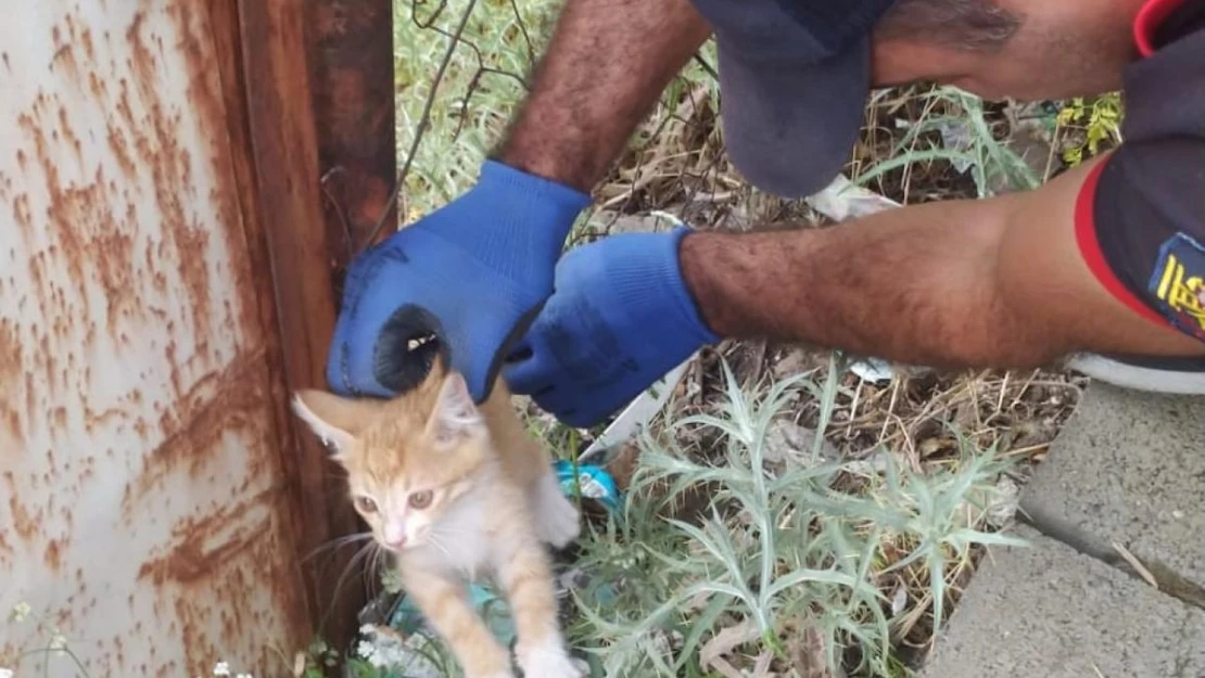 Bingöl'de tellere sıkışan yavru kediyi itfaiye kurtardı