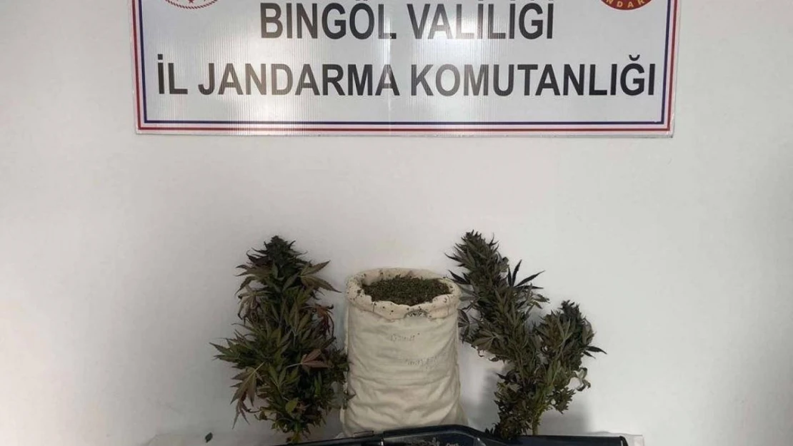 Bingöl'de uyuşturucu operasyonu