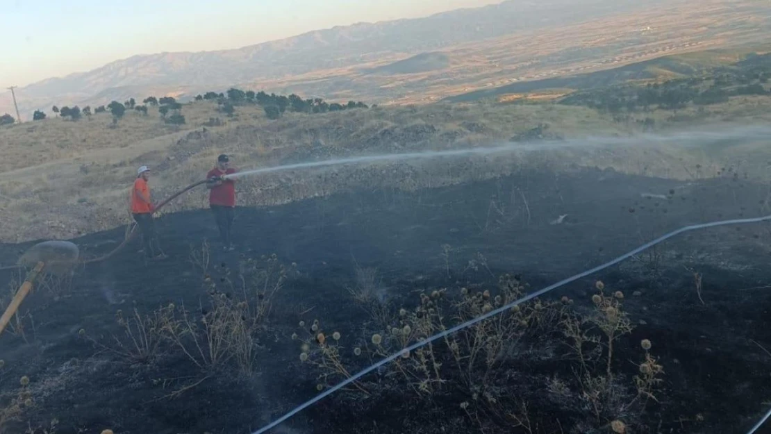 Bingöl'de yangın ormana sıçramadan söndürüldü