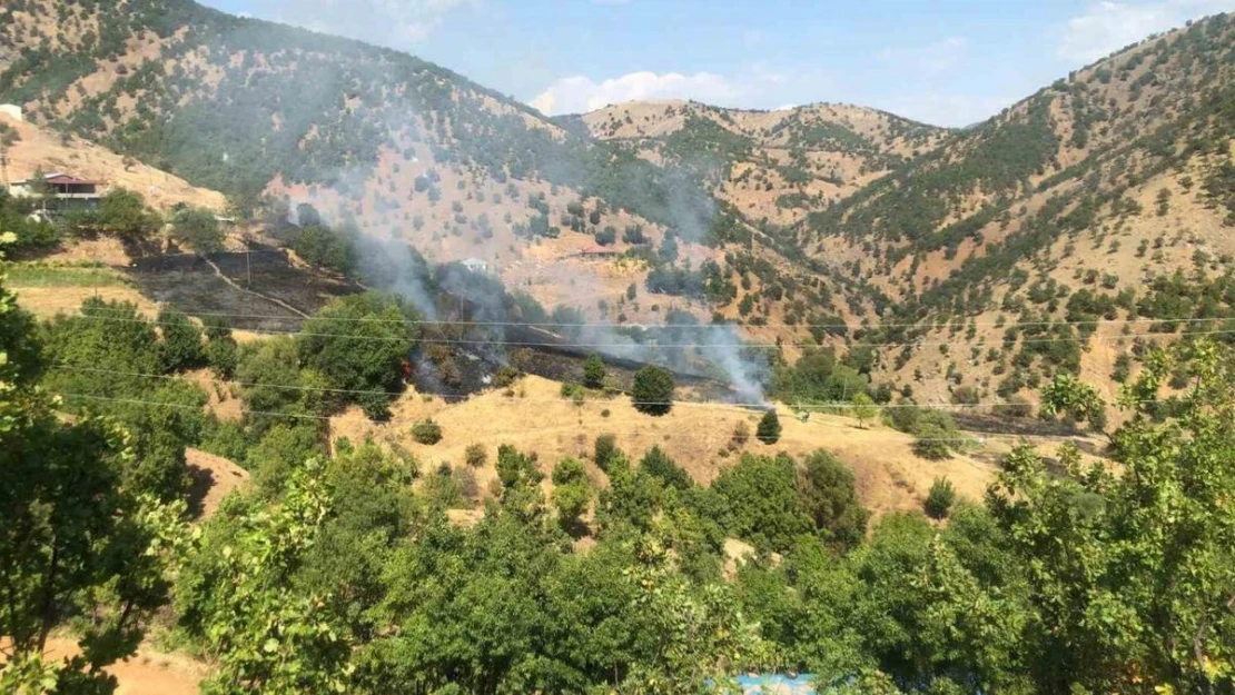 Bingöl'deki örtü yangını evlere sıçramadan söndürüldü