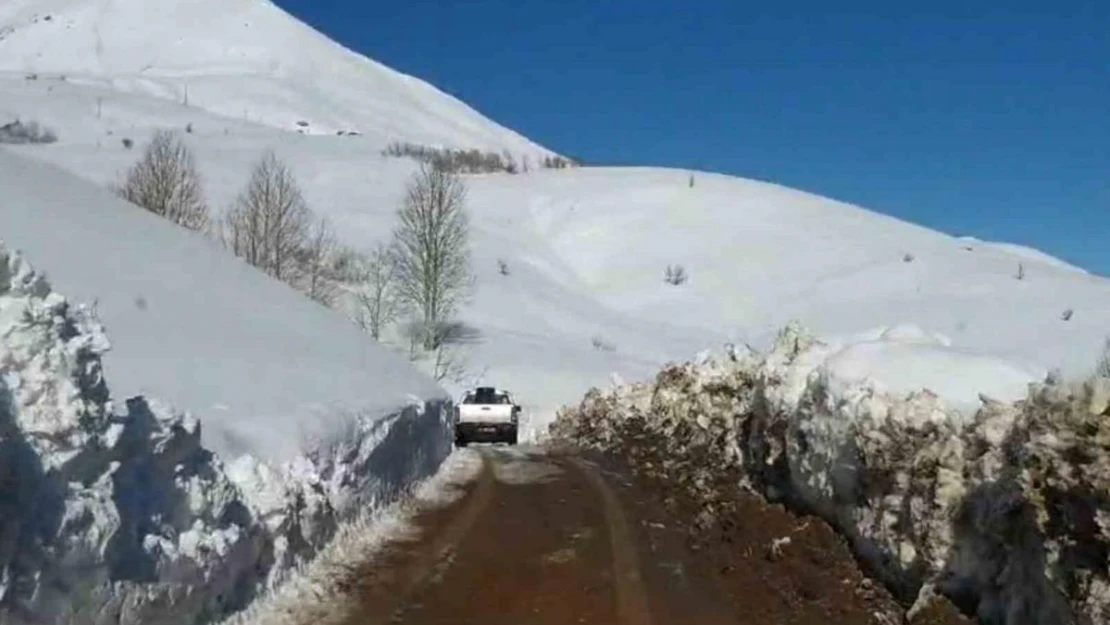 Bingöl'ün Yayladere ilçesi kırsalında kardan kapanan köy yolları açılmaya çalışılıyor