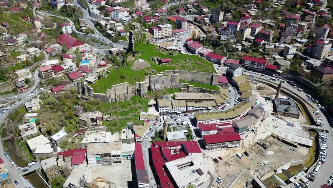 Bitlis'in saklı tarihi bir bir gün yüzüne çıkarılıyor