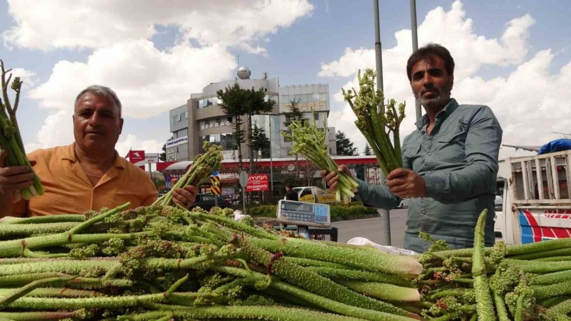 Bitlis'te 'yayla muzu' uçkunun fiyatı, 'Anamur muzunu' üçe katladı