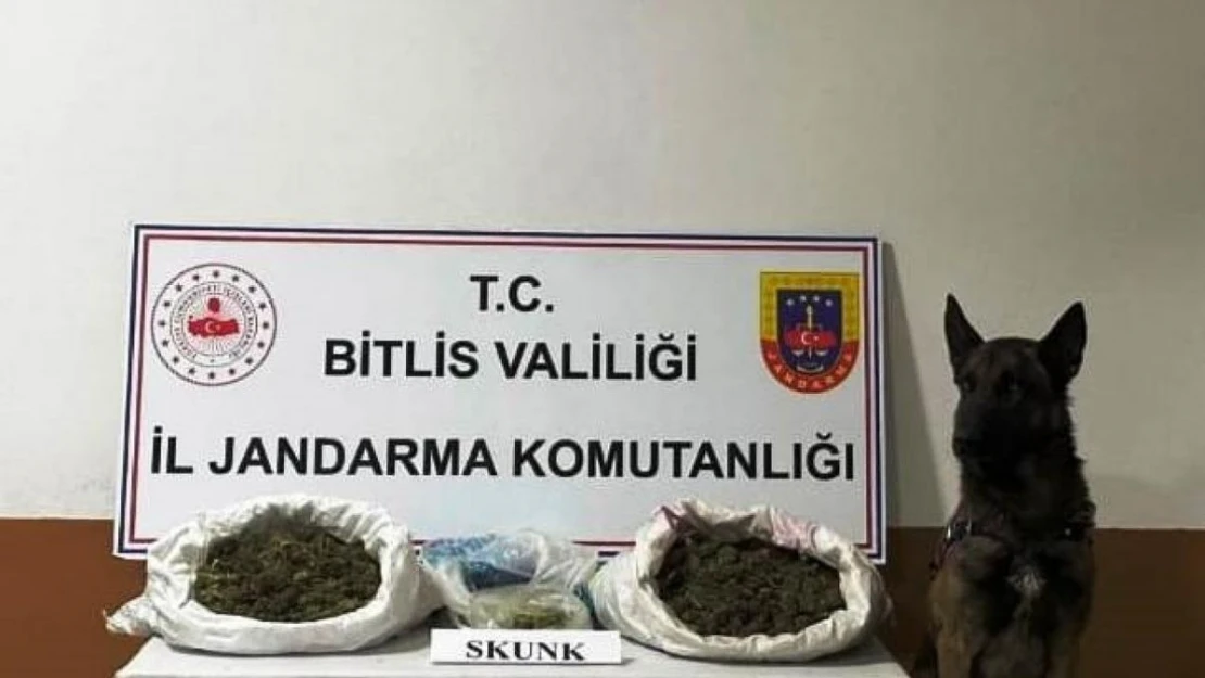 Bitlis'te 10 kilo 200 gram skunk maddesi ele geçirildi