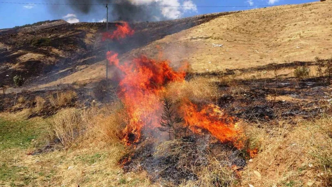 Bitlis'te 12 hektarlık alanda örtü yangını çıktı