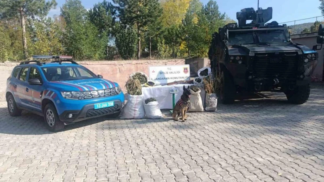 Bitlis'te 28 kilo 560 gram kubar esrar ve 2 kilo 380 gram esrar tohumu ele geçirildi