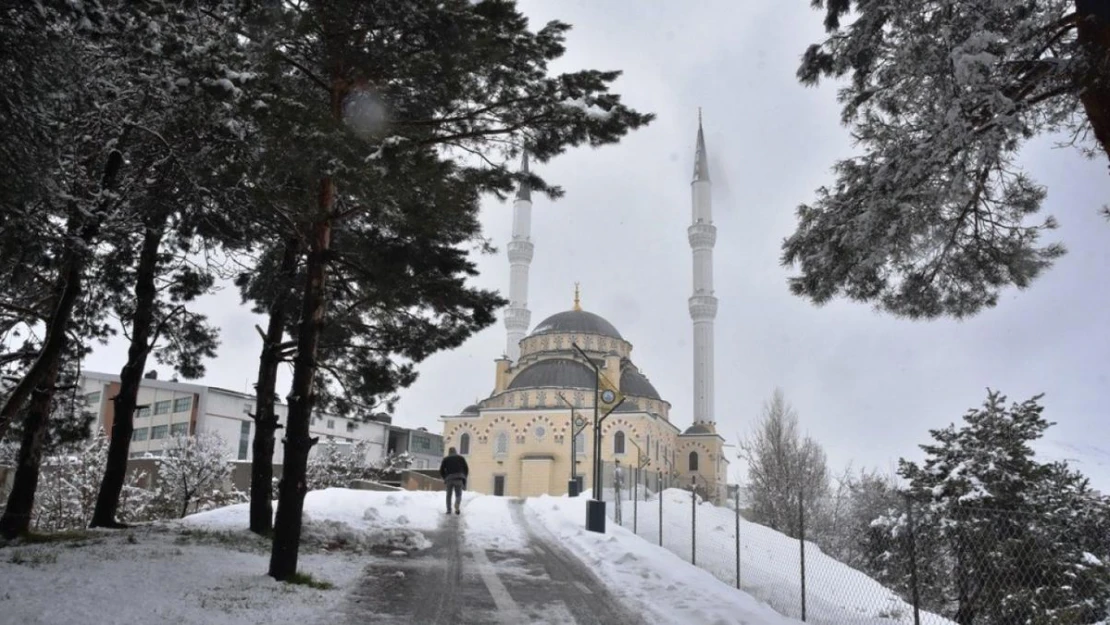 Bitlis'te 34 köy yolu ulaşıma kapandı