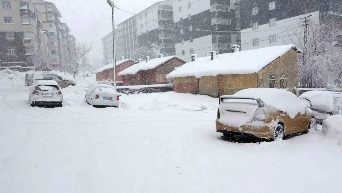 Bitlis'te 75 köy yolu ulaşıma kapandı, okullar 1 gün tatil edildi