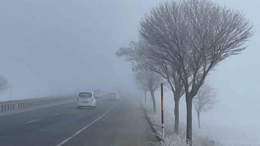 Bitlis'te ağaçlar kırağı tuttu