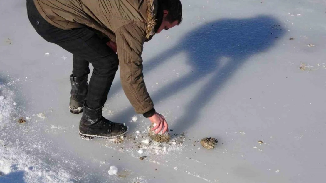 Bitlis'te göletler dondu