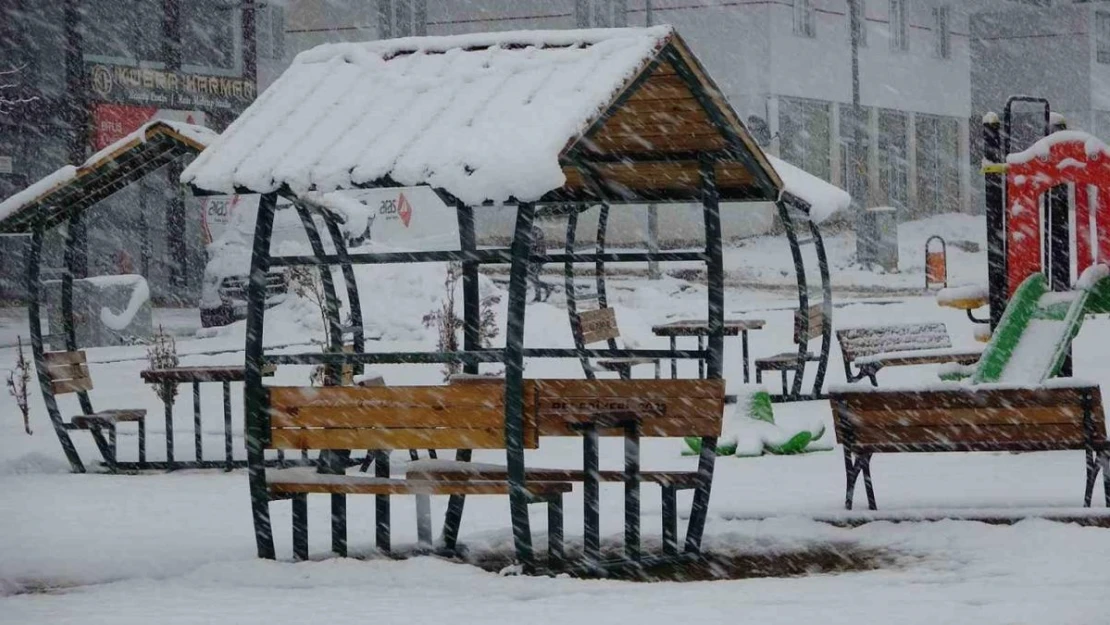 Bitlis'te kar yağışı: 33 yol ulaşıma kapandı