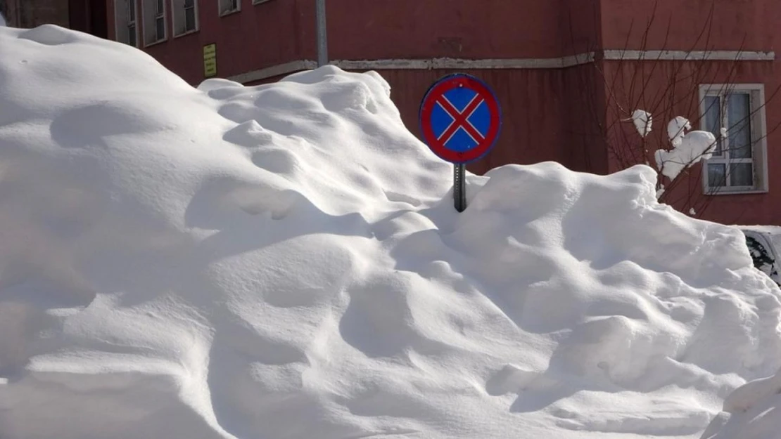 Bitlis'te kar yağışı ve soğuk hava etkili oldu