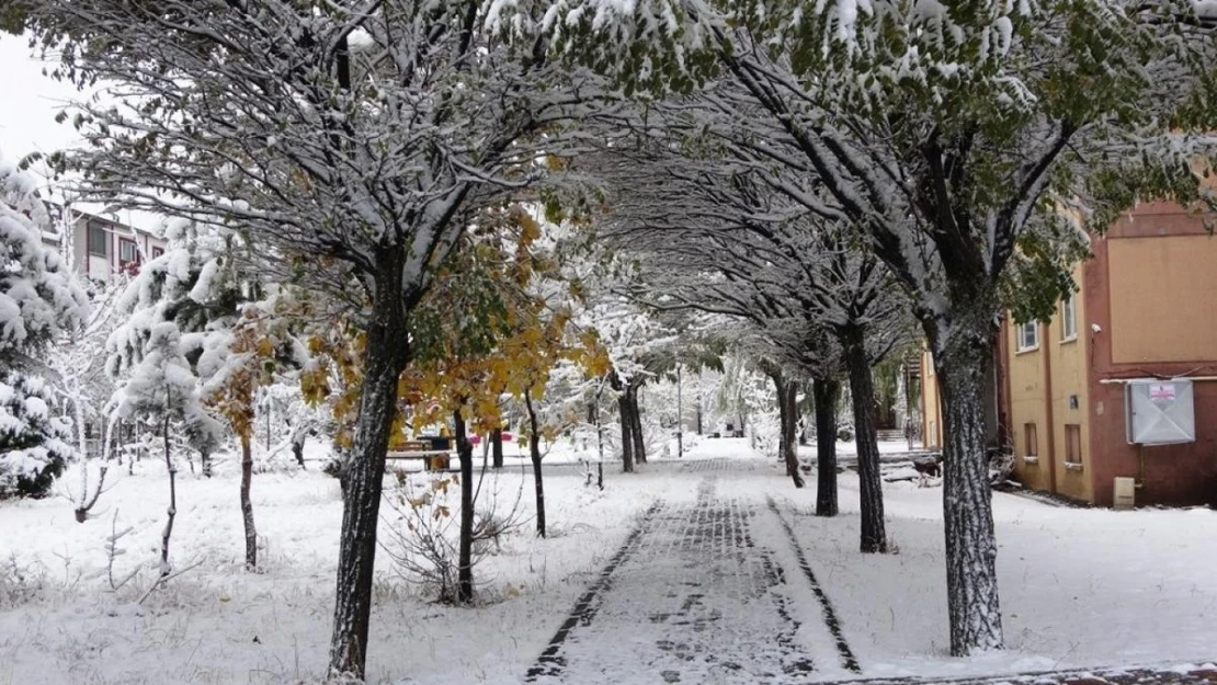 Bitlis'te kar yağışı