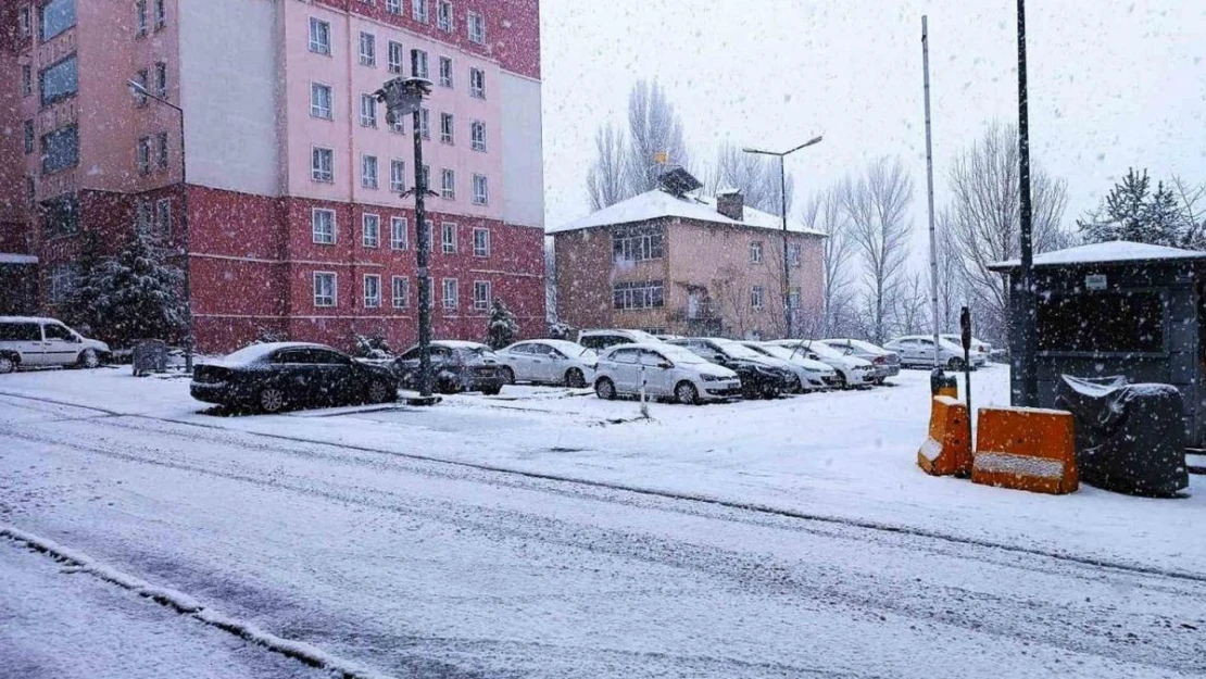 Bitlis'te kar yağışı