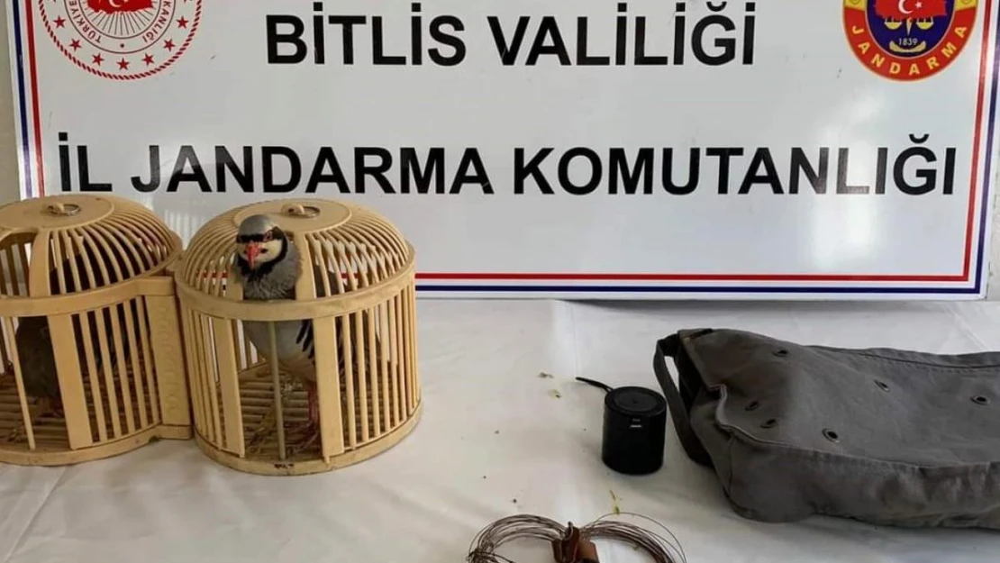 Bitlis'te keklik avlayan 2 kişiye 26 bin 635 lira para cezası uygulanacak