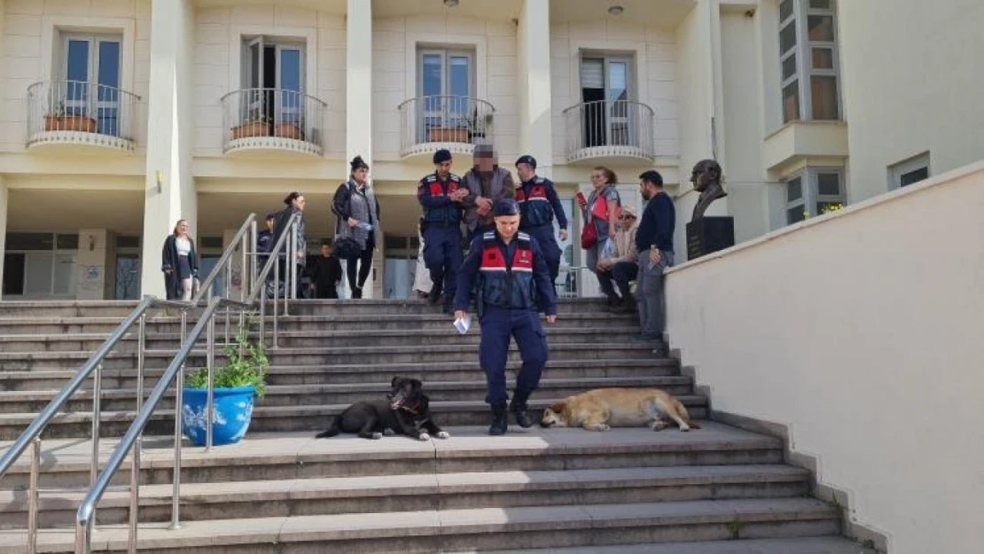 Bodrum'da 12 hayvanı zehirlediği iddia edilen şahıs yakalandı