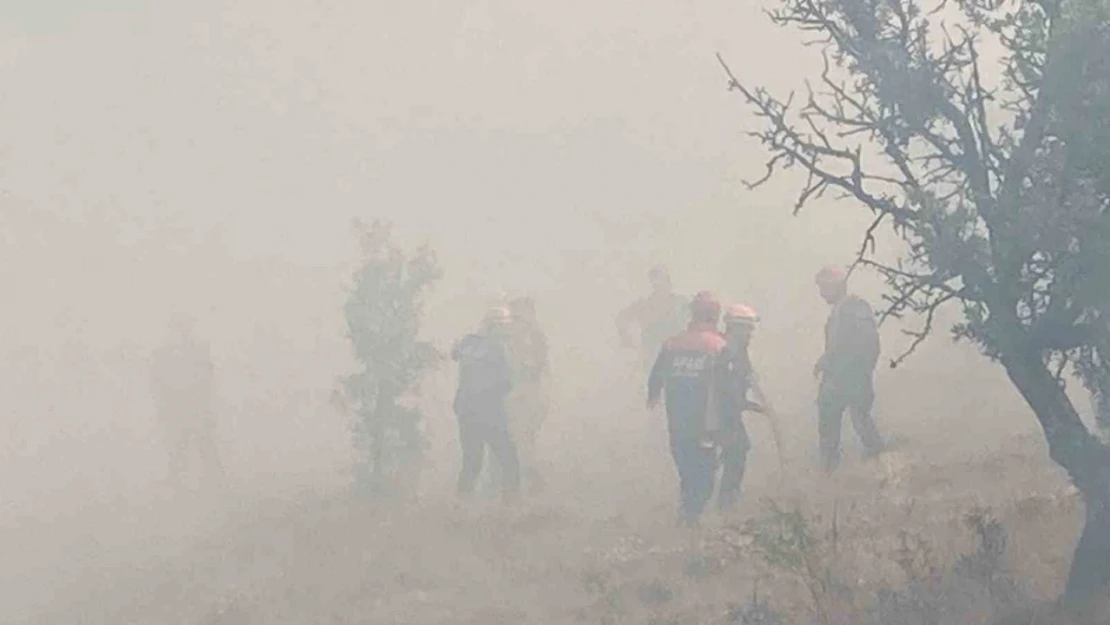 Bolu'da kontrol altına alınan yangın tekrar alevlendi