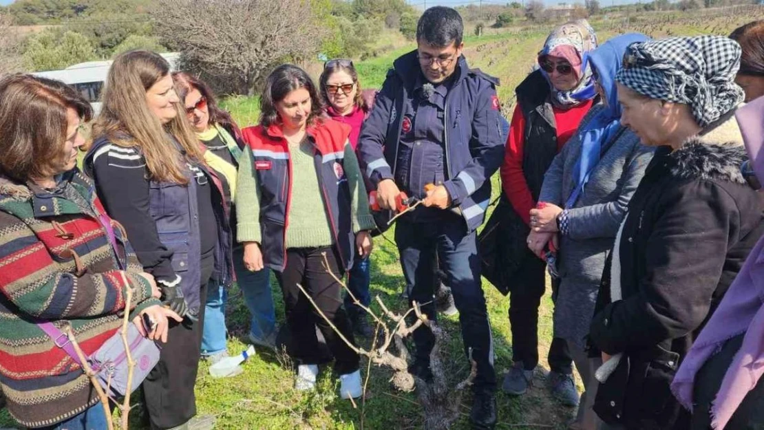 Bozcaada Bağcılıkta Modern Teknikler Eğitimi