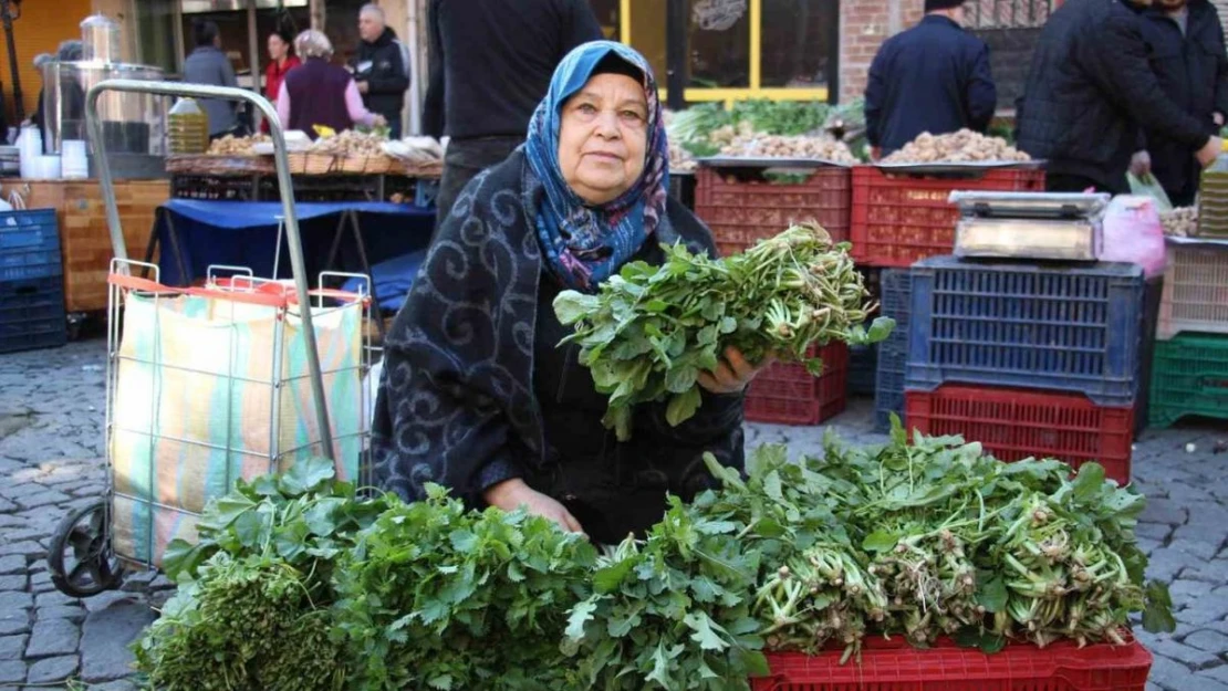 Bu otlar sadece Ege pazarında bulunuyor