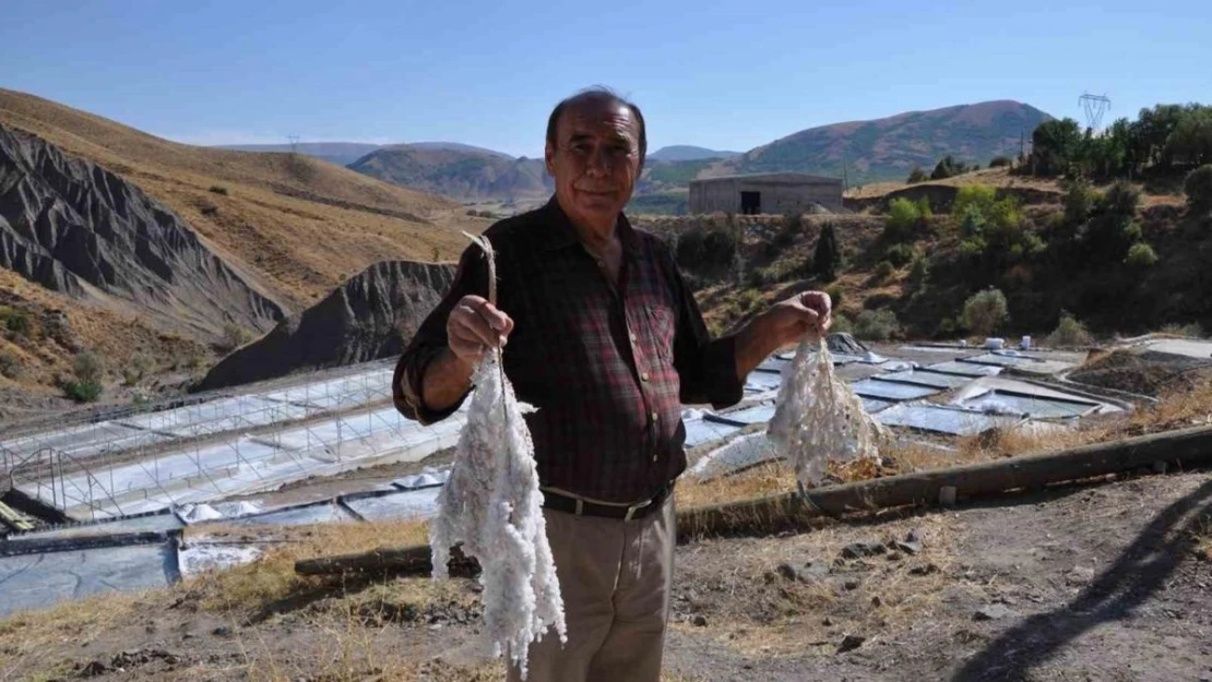 Bu tuzlar üretildiği şekliyle tüketiliyor