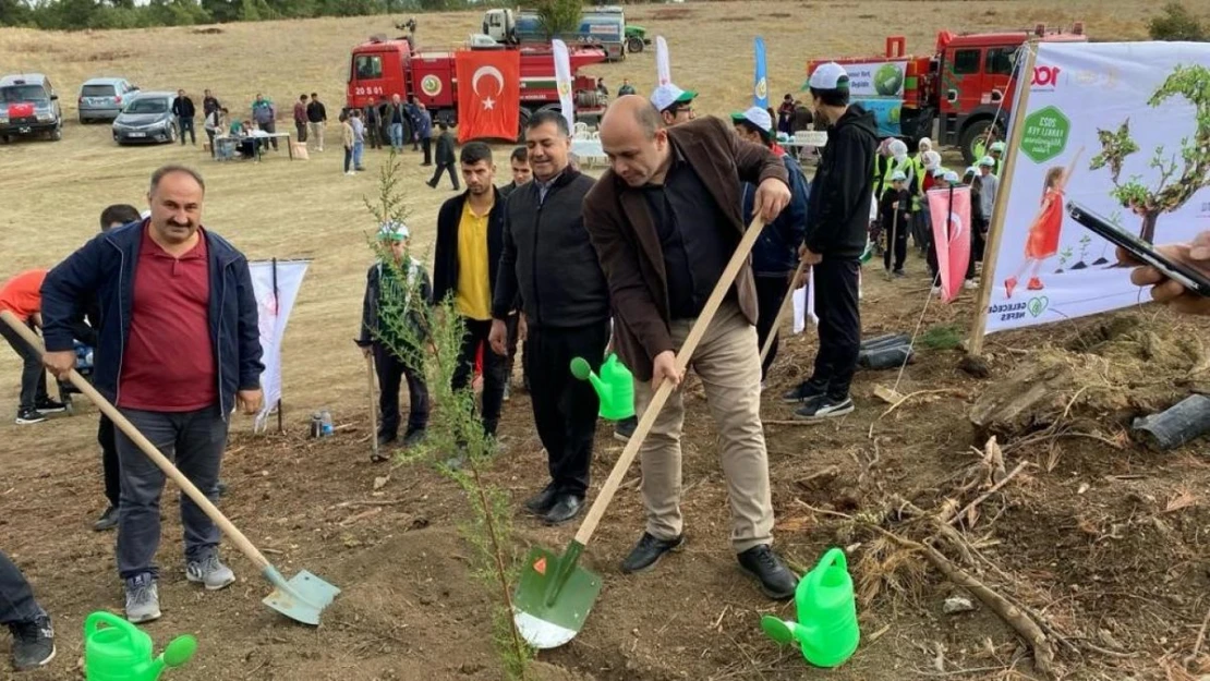 Buldan'da Cumhuriyet için fidan dikimi yapıldı