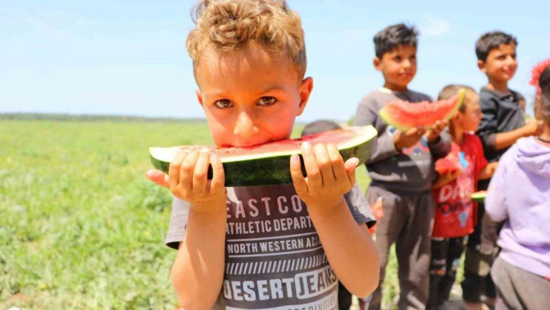 Bunaltıcı sıcaklar vatandaşı sulu meyvelere yönlendirdi