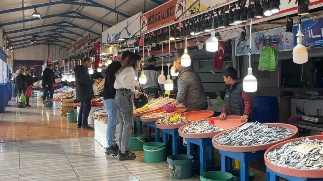 Büyük balık küçük balığı yiyemedi, hamsi bollaştı