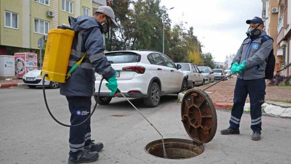 Büyükşehir belediyesi, vektörel mücadeleyi kışın da sürdürüyor