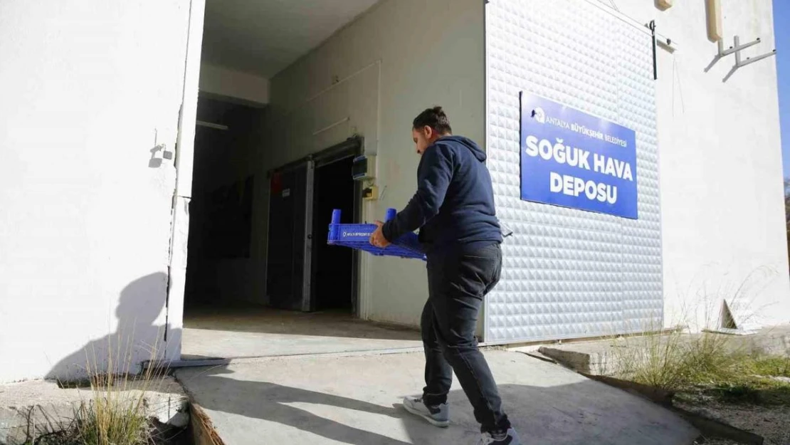 Büyükşehir'den Finike'ye soğuk hava deposu