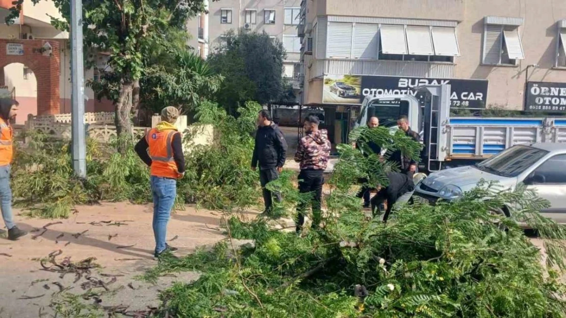 Büyükşehir ekiplerinin fırtına mesaisi