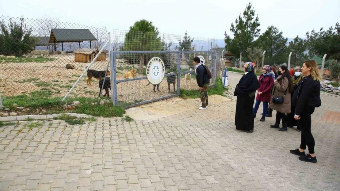 Büyükşehir Geçici Hayvan Bakımevi'ne ziyaretçi akını