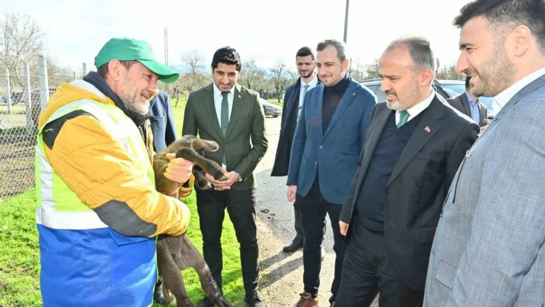 Büyükşehir'le çaresiz değilsiniz