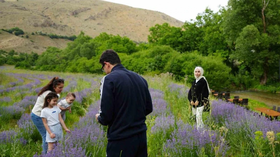 Çağlayan'ın 'Mor' bahçesine ziyaretçi akını