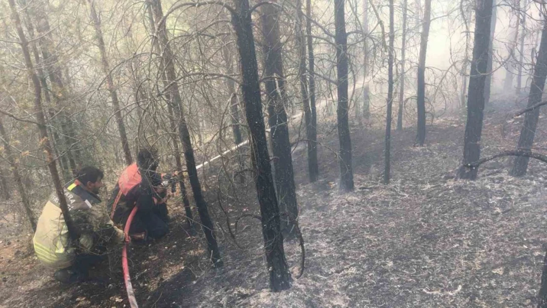 Çamlıdere'deki ot yangını ormanlık alana sıçradı