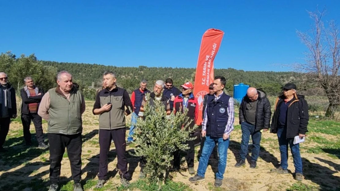 Çanakkale'de Zeytin Yetiştiricilerine eğitim verildi