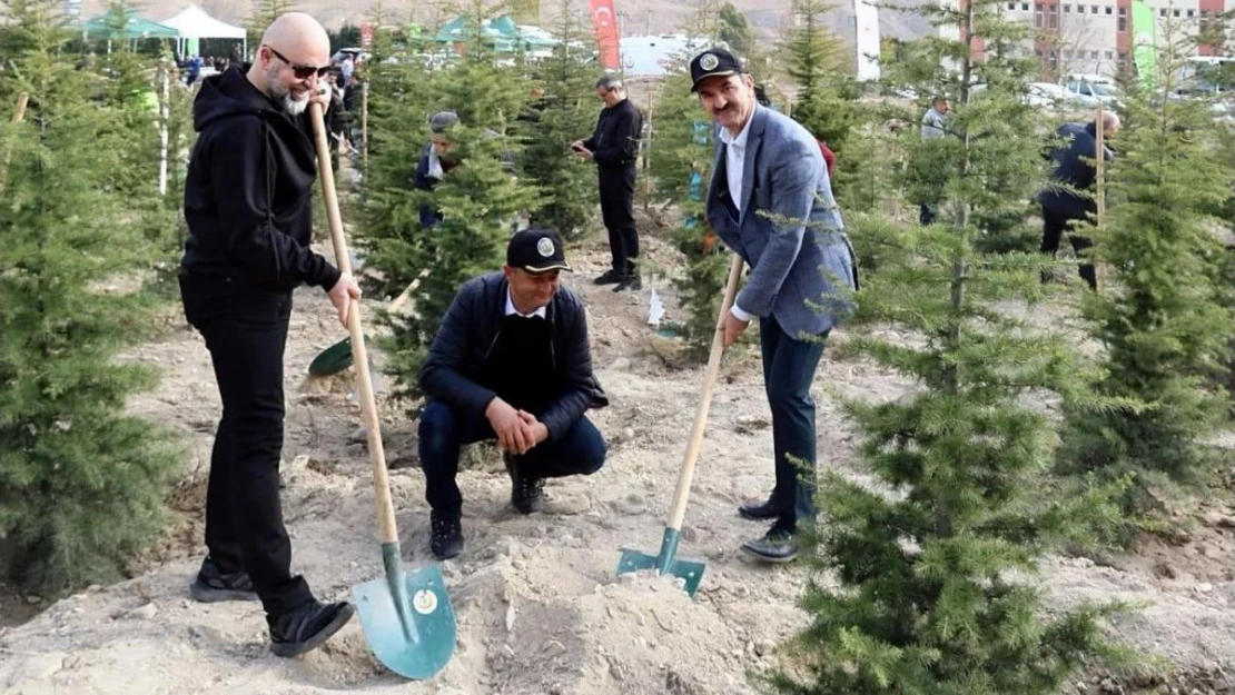 Çankırı'da fidanlar toprakla buluştu