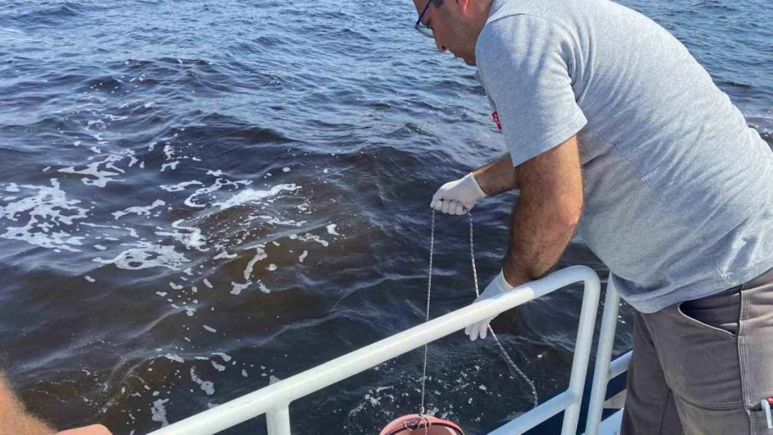 Çevre ve Şehircilik Bakanlığı'ndan İzmir Körfezi'ndeki balık ölümlerine inceleme