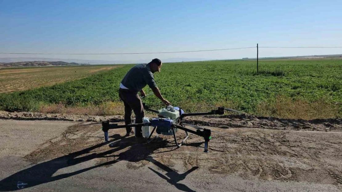 Çiftçiler kurtlanan fasulyeleri için dronla ilaçlama yapıyor