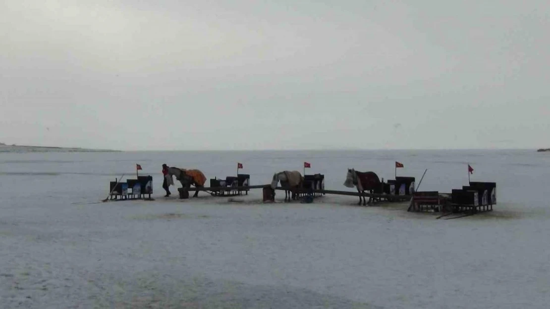 Çıldır'da kızak atlarına battaniyeli koruma