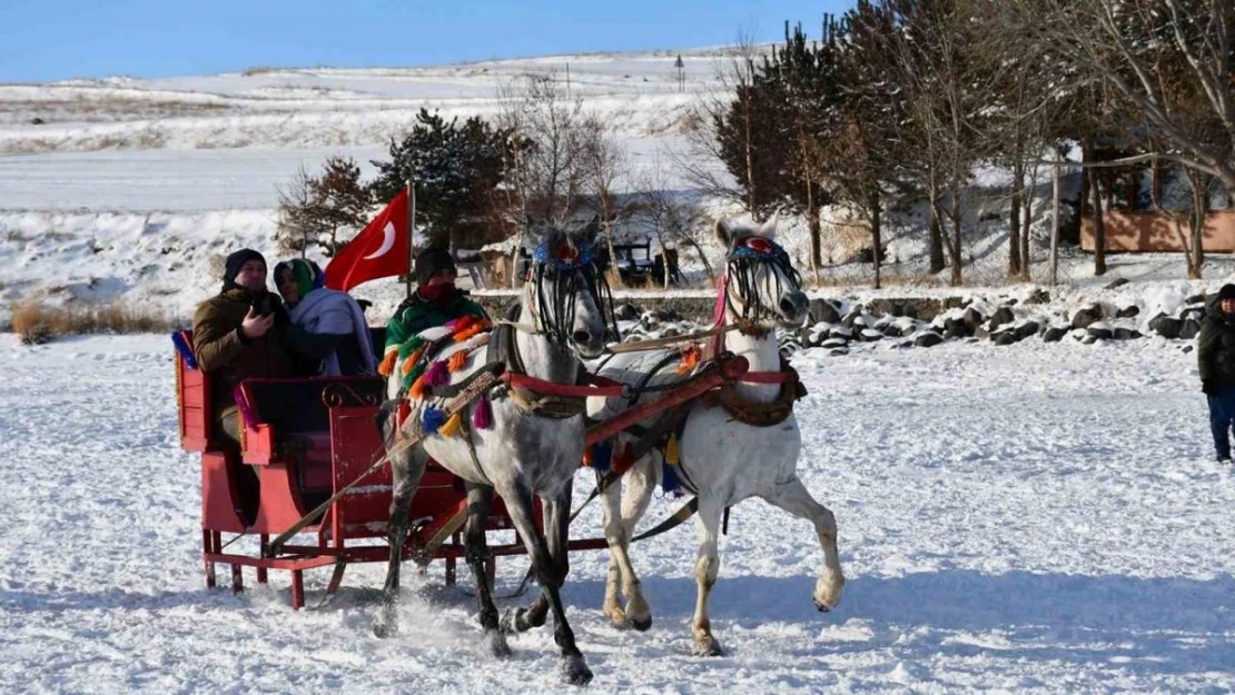 Çıldır Gölü'nde renkli görüntüler