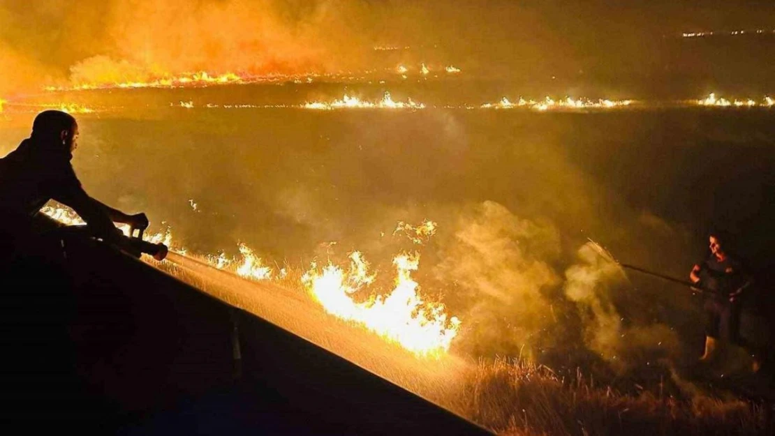 Cizre'de anız yangını ekili alanlara ulaşmadan söndürüldü