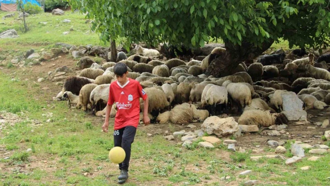 Çobanlık yapan Ender Sağım, keşfedilmeyi bekliyor