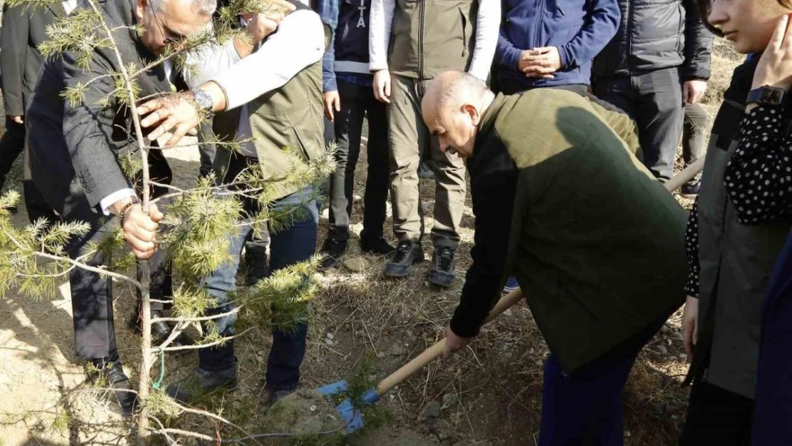 Çorum Valisi Dağlı, '20 yılda 94 milyon fidanı toprakla buluşturduk'